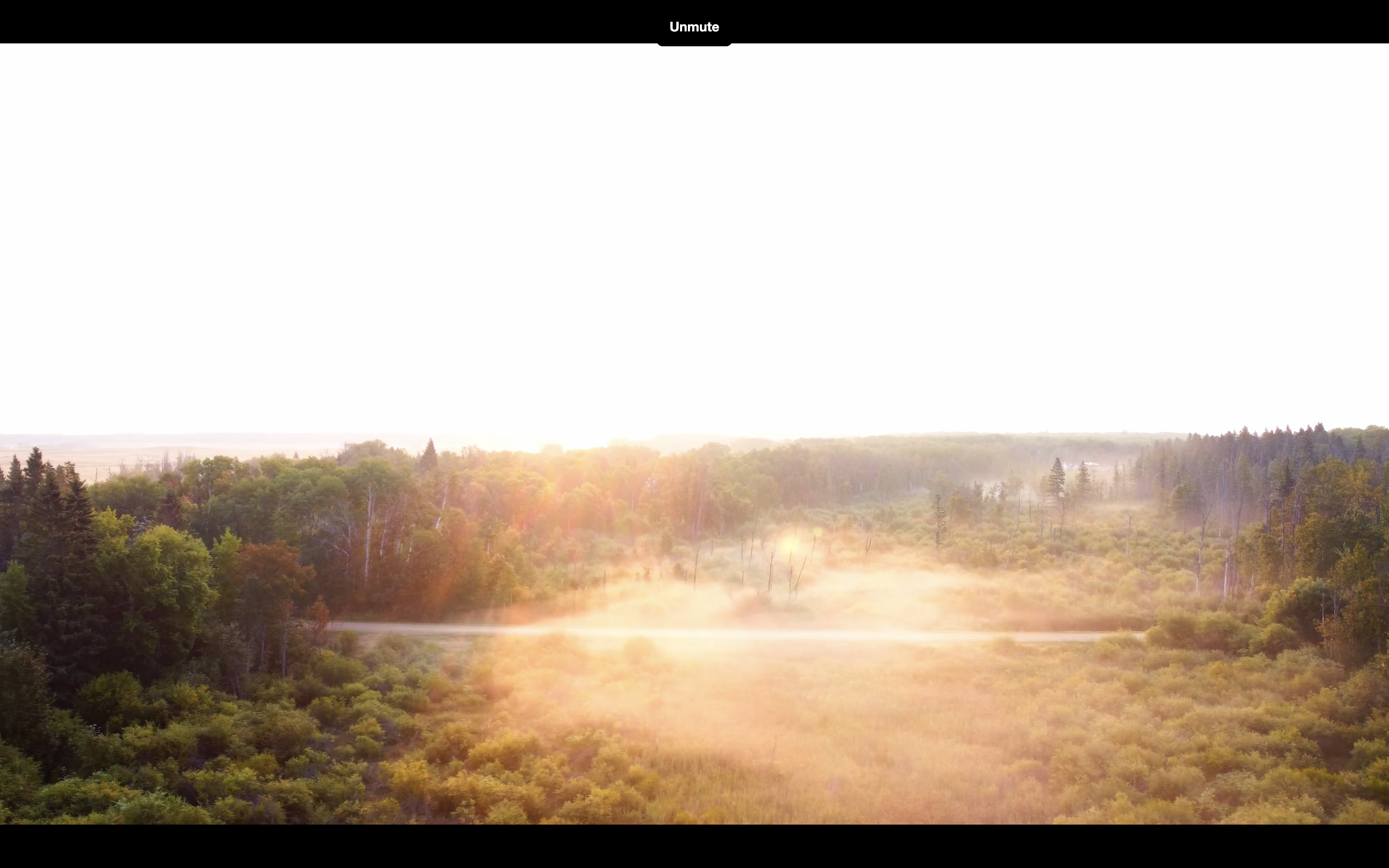 Videography hero loading image